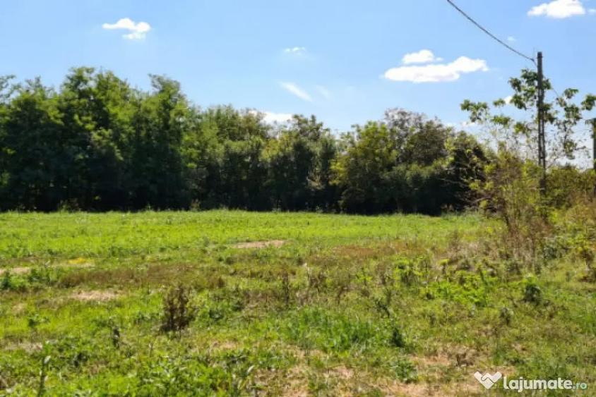 Casă cu 5 camere cu Teren 794 Mp în Livedea