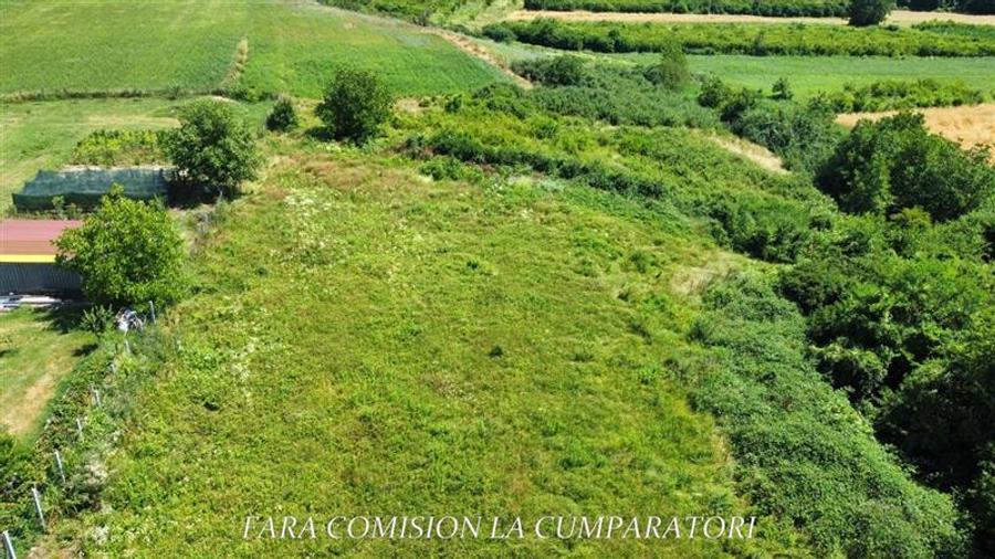 Teren Construcții intravilan de 7500 mp, în Râureni