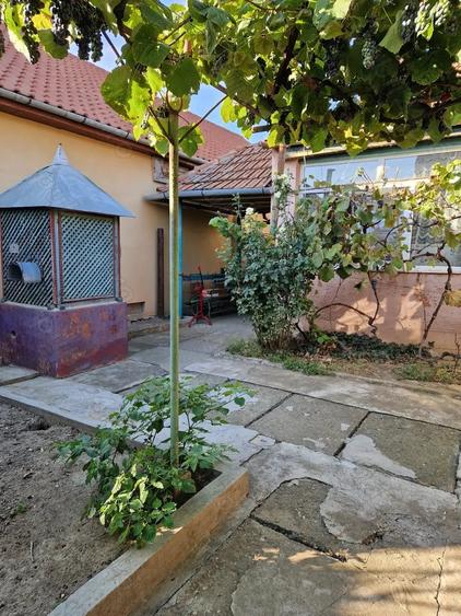 Casă cu 3 camere în Central