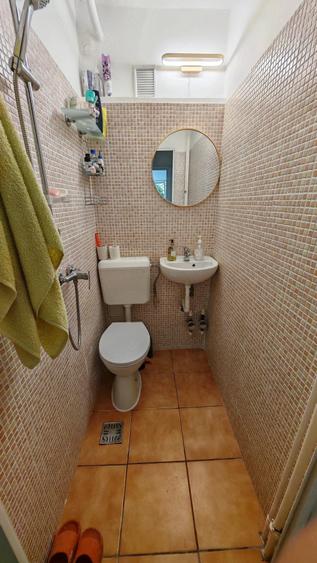 Apartament cu 2 camere decomandat în Brotăcei