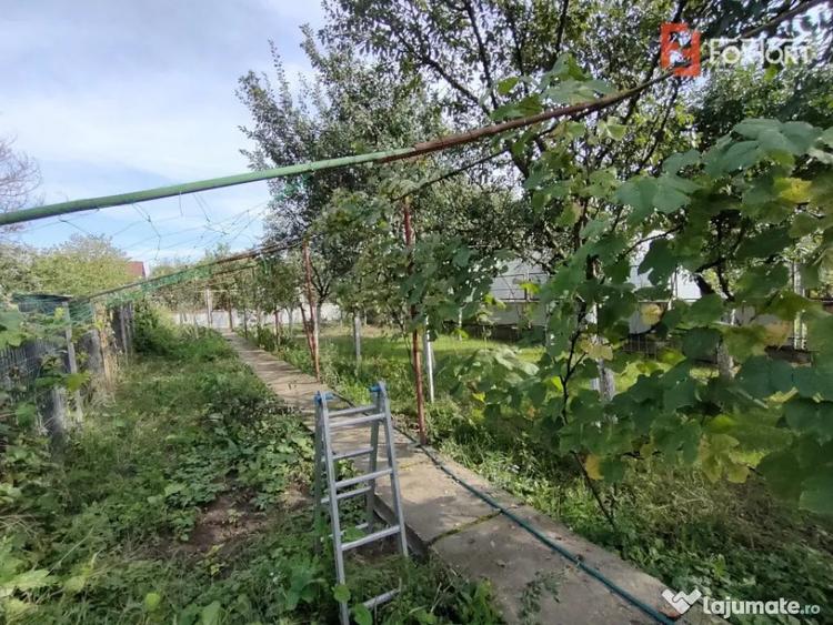 Casa individuala in Chisoda 160 mp utili, toate utilitatile - Chisoda (Timis) - 9
