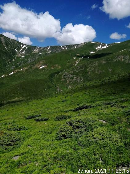 Teren de 185000 mp, în Padeș