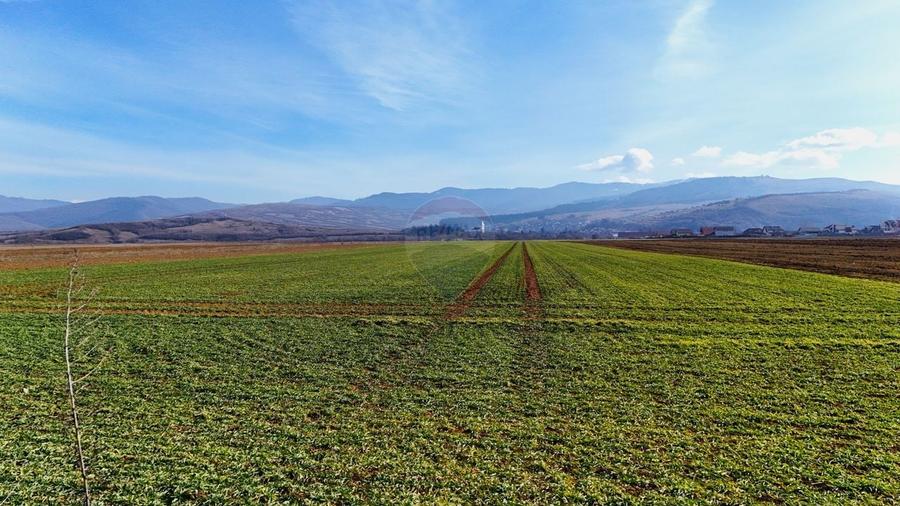 Teren agricol extravilan de 14600 mp, în Tărlungeni