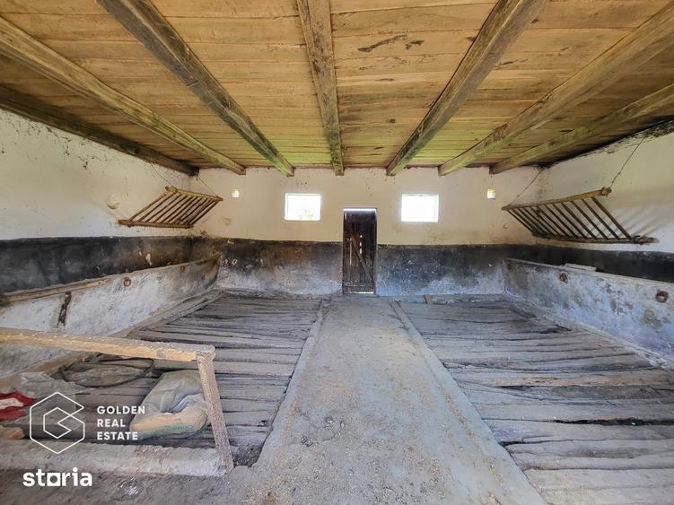 Casă cu 4 camere decomandat cu Teren 5000 Mp în Bârzava