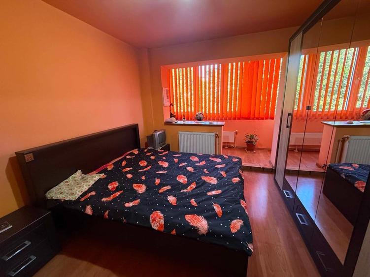 Apartament 3 camere Manastur-str Gr Alexandrescu - 15