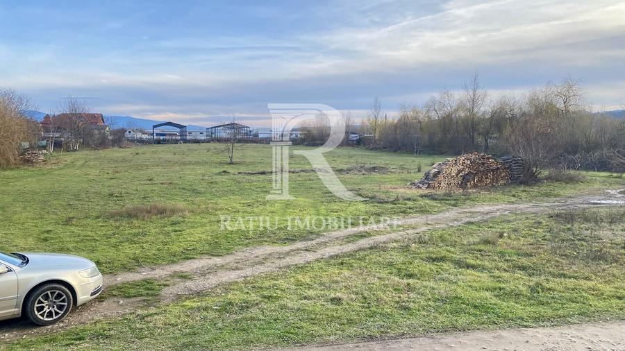 Teren Construcții intravilan de 13500 mp, în Vest