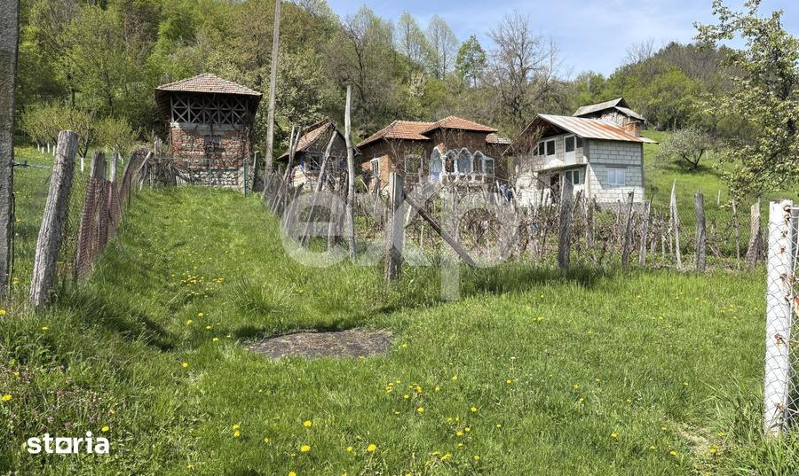 Teren de 14613 mp, în Tigveni