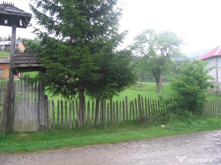 Teren de 4080 mp, în Valea Doftanei