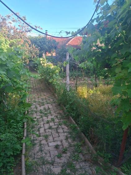 Casă individuală cu 3 camere cu Canalizare în Șimian