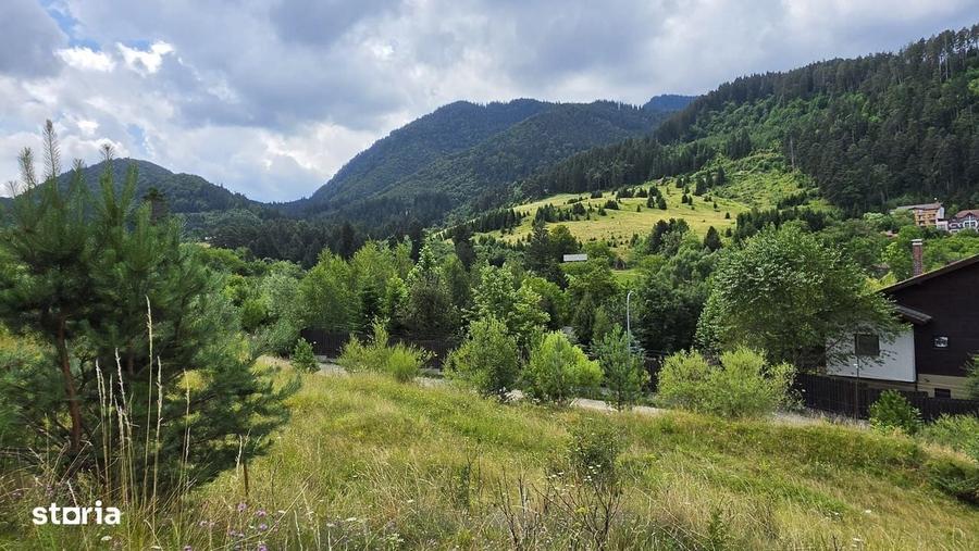 Teren intravilan cu vedere panoramica Sacele, Brasov - 5