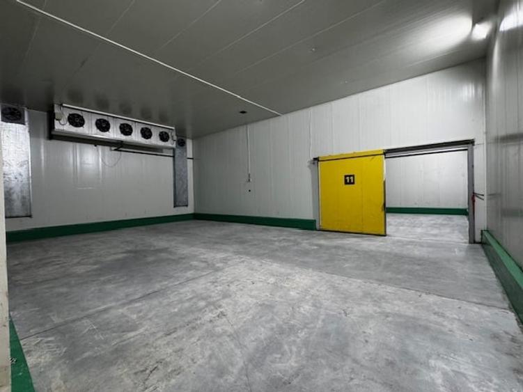 Spațiu industrial, de 5,900 mp, în Crevedia