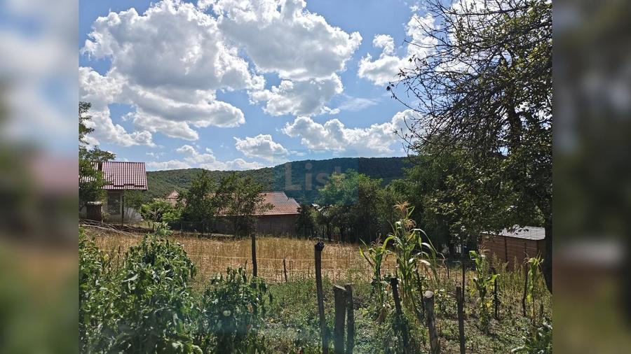 Casă cu 2 camere cu Teren 1457 Mp în Vest