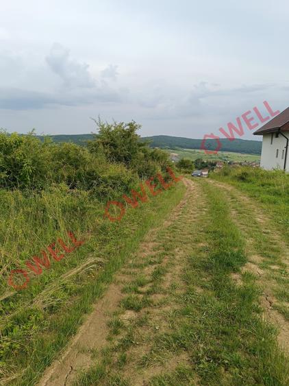 Teren Construcții intravilan de 7900 mp, în Livezeni