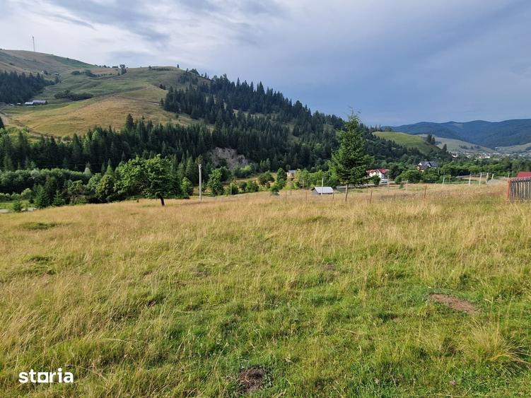 Teren de 1000 mp, în Central