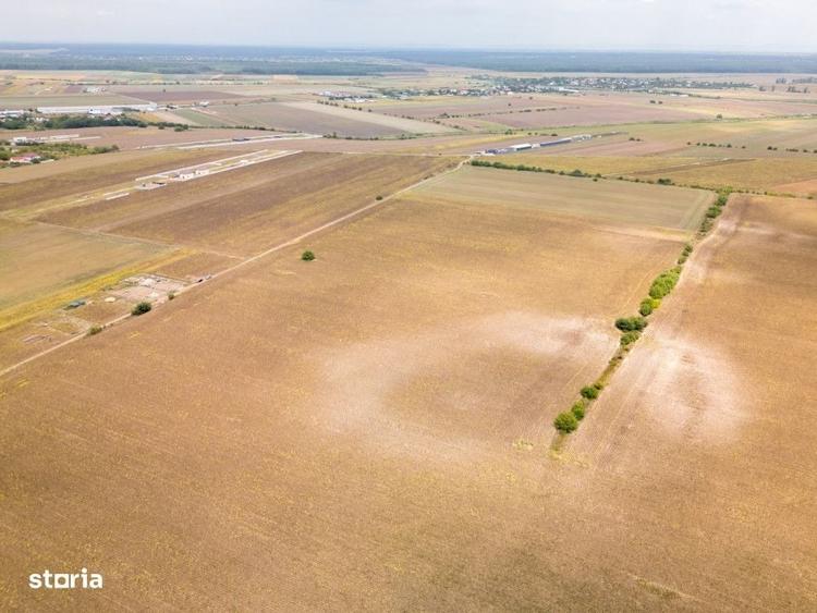 Dascalu Teren Intravilan 11300 Mp, Investitie! - 8