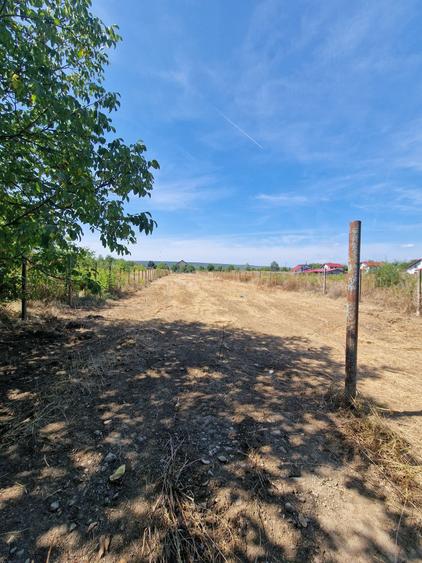 Teren de 1500 mp, în Boldești