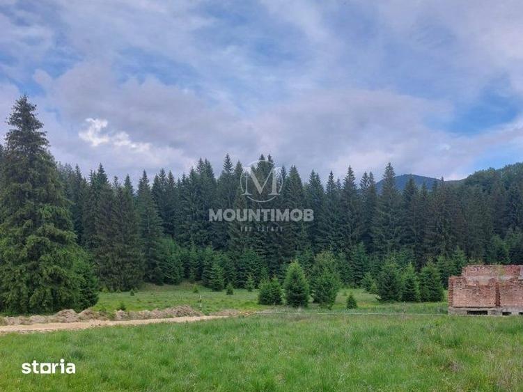 Teren de 4698 mp, în Noua