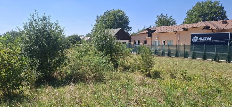 Teren de vanzare in Valea Voievozilor - 14