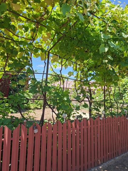 Casă de vânzare în Lungulețu, județul Dâmbovița – 59.000 € - 1