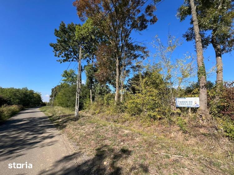 Teren de 2812 mp, în Viile Satu Mare