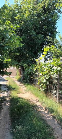 Casă cu Teren 300 Mp în Central
