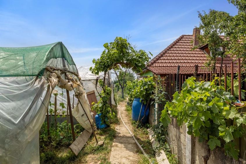 Casă individuală cu 4 camere cu Teren 2422 Mp în Șiria