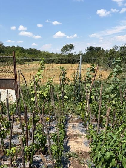 Casă individuală cu 5 camere cu Canalizare în Corbeanca