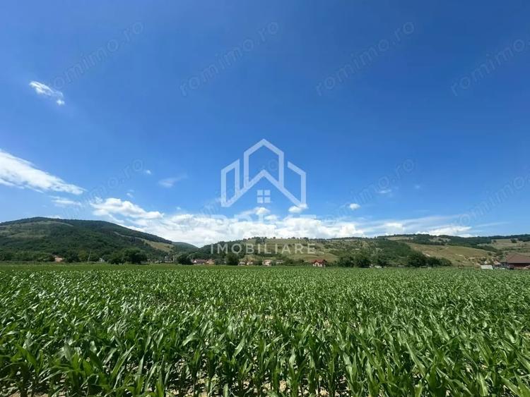 Teren de 6200 mp, în Vințu de Jos