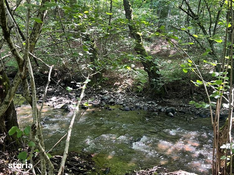 Casă cu 3 camere cu Teren 1000 Mp în Eremitu