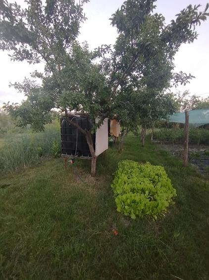 Casă cu 4 camere cu Teren 2267 Mp în Lunca