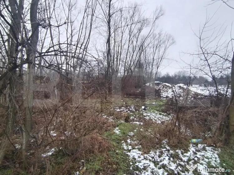 Teren de 580 mp, în Priseaca