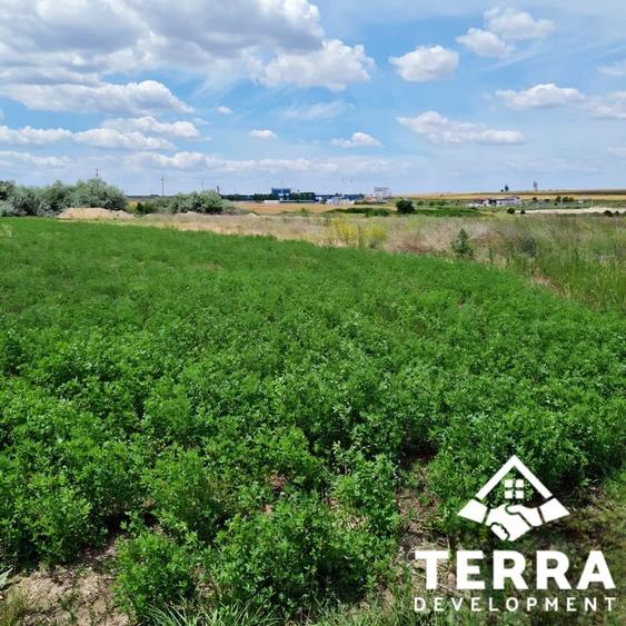 Teren Construcții intravilan de 5000 mp, în Ovidiu