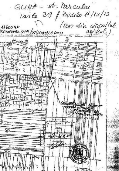 Teren intravilan de 11600 mp, în Glina