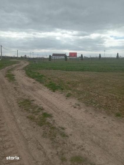 Teren de 3500 mp, în Mitocu Dragomirnei