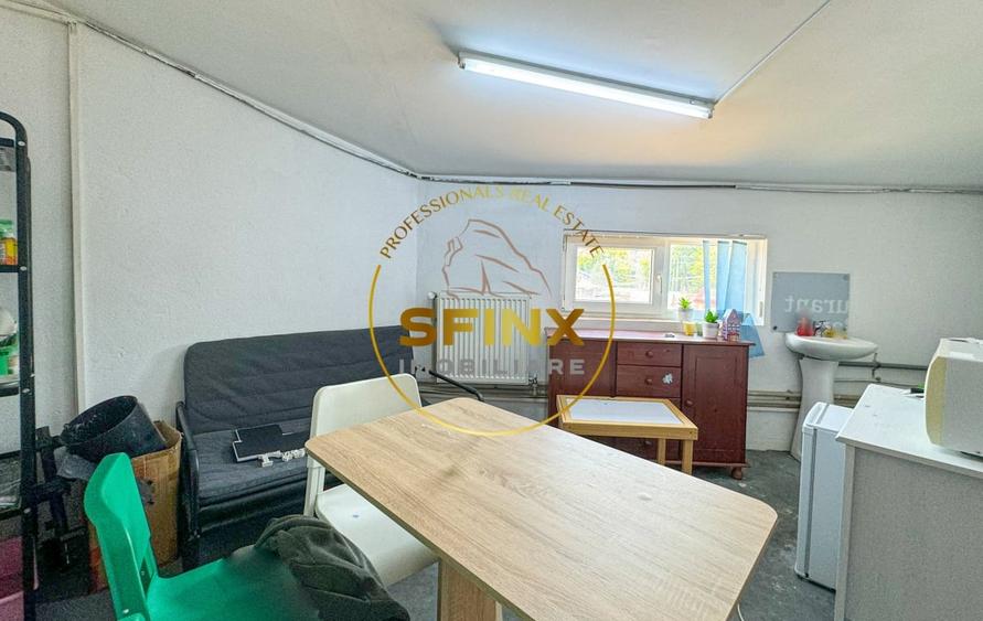 Spațiu industrial, de 103.34999847412 mp, în Theodor Pallady