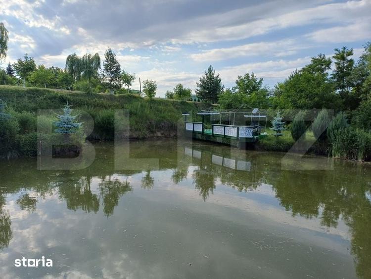 Teren intravilan 60 ari cu iaz si cabana, zona Ilisesti - 8