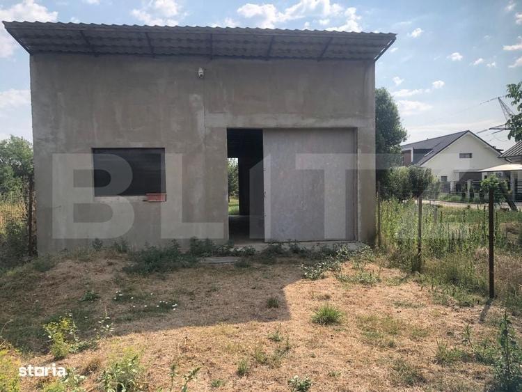 Spațiu comercial, în Lucian Blaga