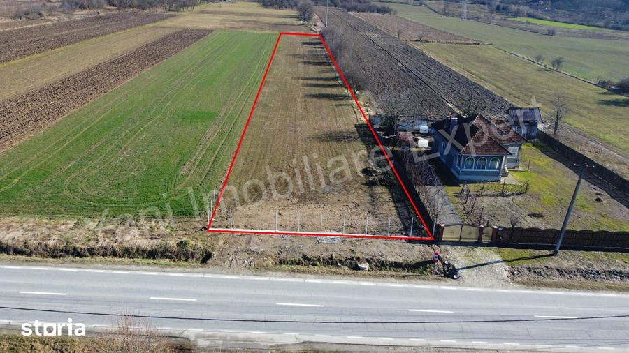Teren de 3657 mp, în Băiculești