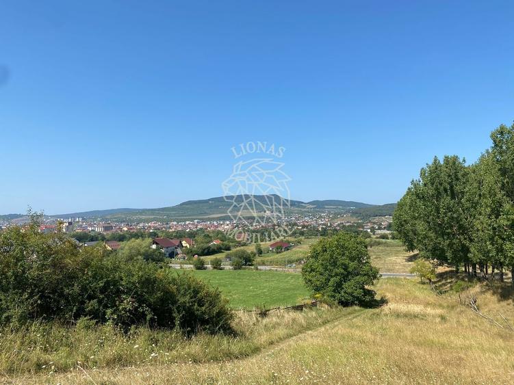 Teren Construcții intravilan de 2600 mp, în Nord