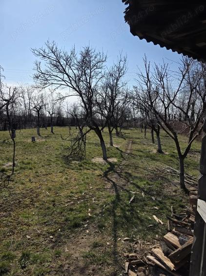 Casă cu Teren 2579 Mp în Colanu