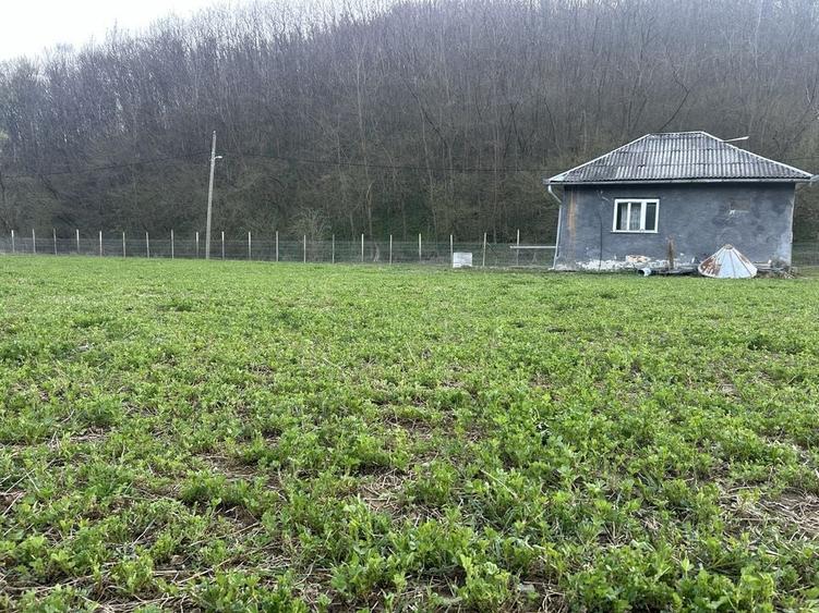 Casă cu 2 camere în Central