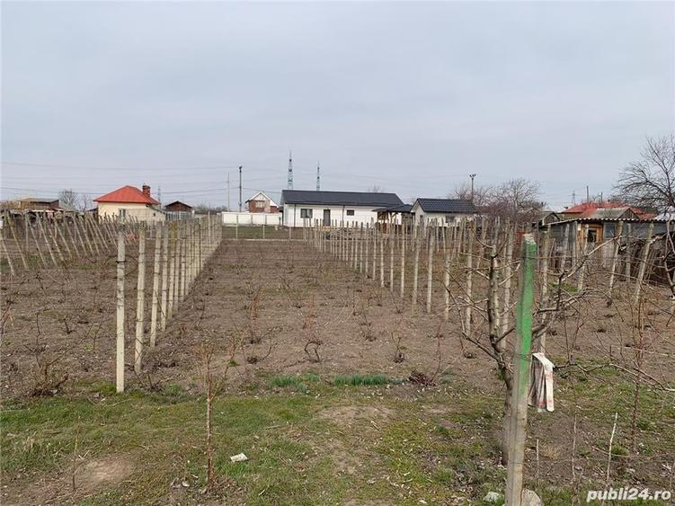 Teren de 928 mp, în Central