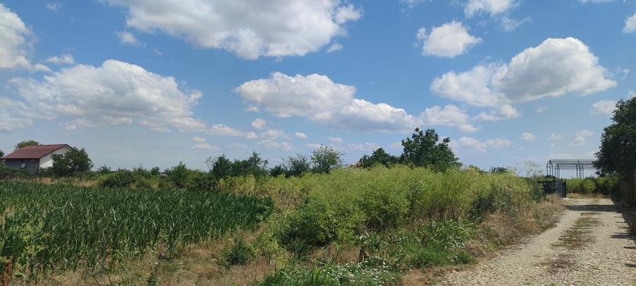 Teren Construcții intravilan de 748 mp, în Clinceni