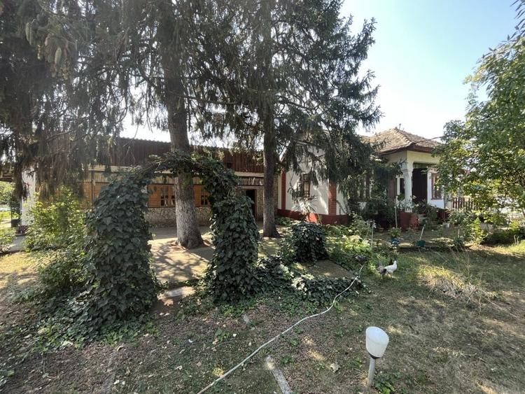 Casă individuală cu 4 camere cu Piscina în Giubega