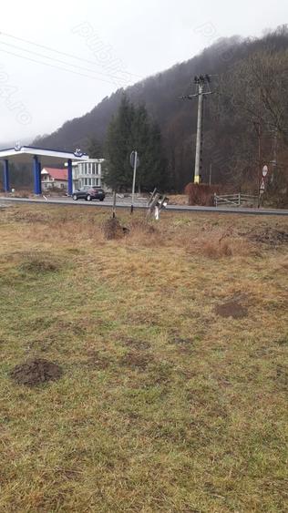 Teren de 1000 mp, în Central