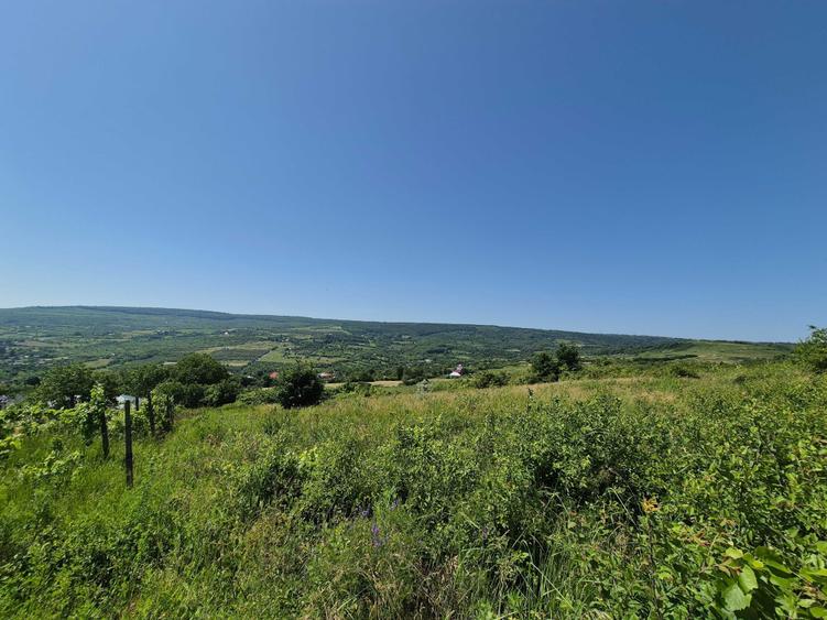 Teren de 3000 mp, în Tomești