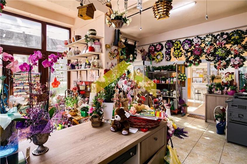 Spațiu comercial, de 128 mp, în Vladimirescu