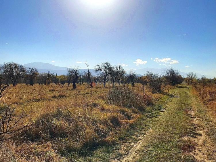 Teren Construcții intravilan de 6000 mp, în Ghimbav Livadă