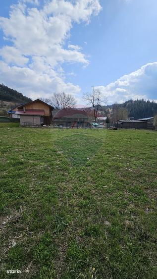 Spațiu comercial, în Hangu