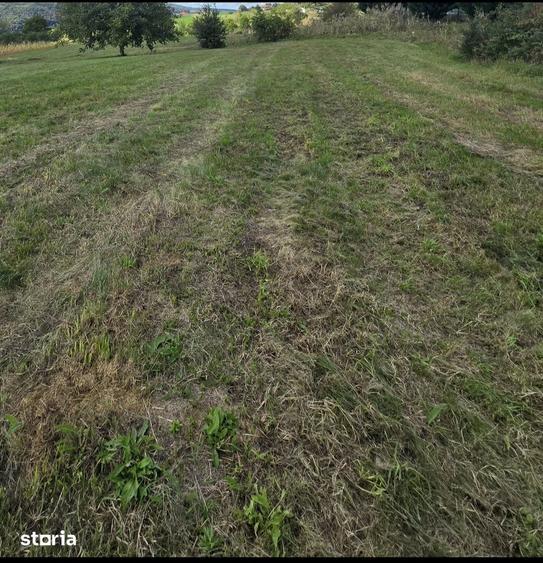 Teren de 12000 mp, în Ciolpani